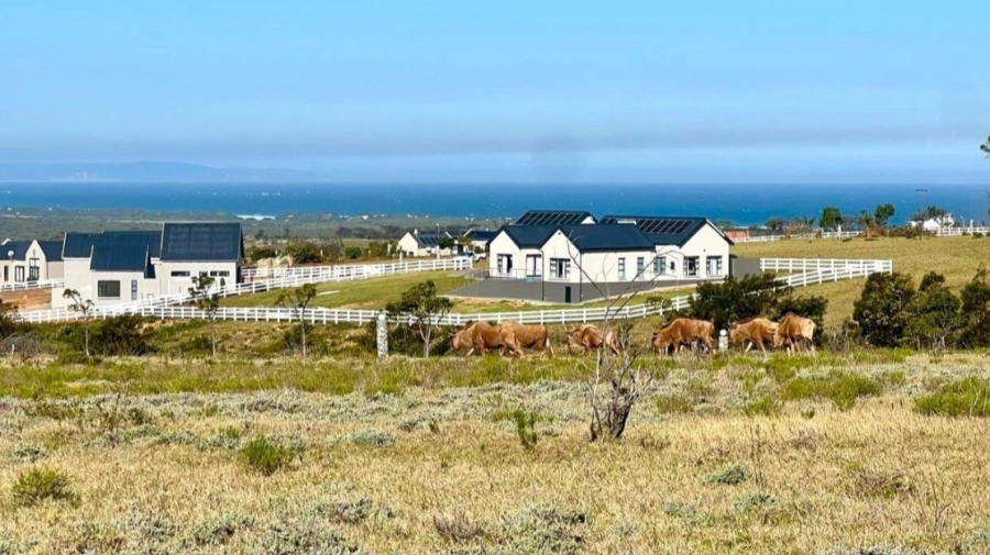 0 Bedroom Property for Sale in Kabeljauws Eastern Cape